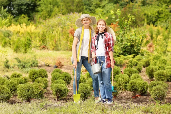 Female gardeners taking care of plants outdoors — Stock Photo, Image