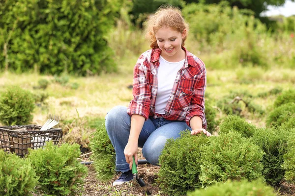 Jardinero femenino cuidando de las plantas al aire libre — Foto de Stock