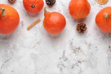 Hafif arka planda taze kabaklar ile Sonbahar kompozisyon