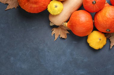 Taze kabaklar ve rengler renkli arka planda