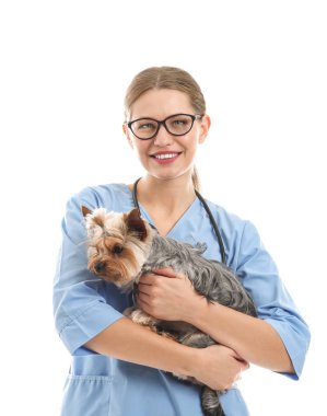 Beyaz arka planda sevimli köpek ile Veteriner