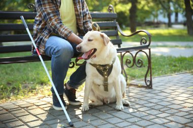 Parkta bankta oturan rehber köpek ile Kör olgun adam