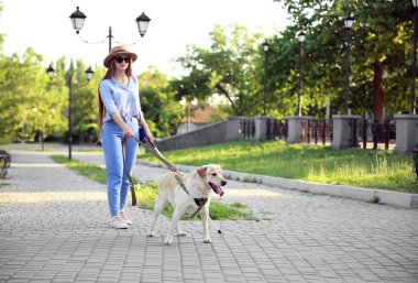 Parkta yürüyen rehber köpek ile genç kör kadın