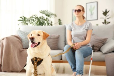 Evde rehber köpek ile genç kör kadın