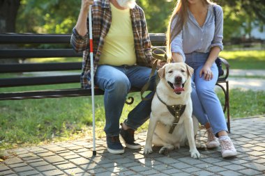 Parkta kızı ve rehber köpek ile Kör olgun adam