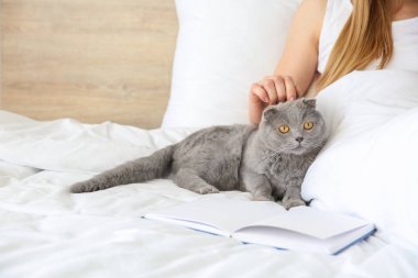 Yatakta sahibi ile sevimli kedi