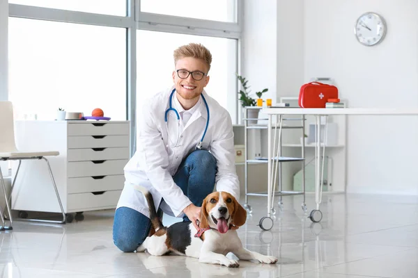 Veterinær med søt hund på klinikken – stockfoto