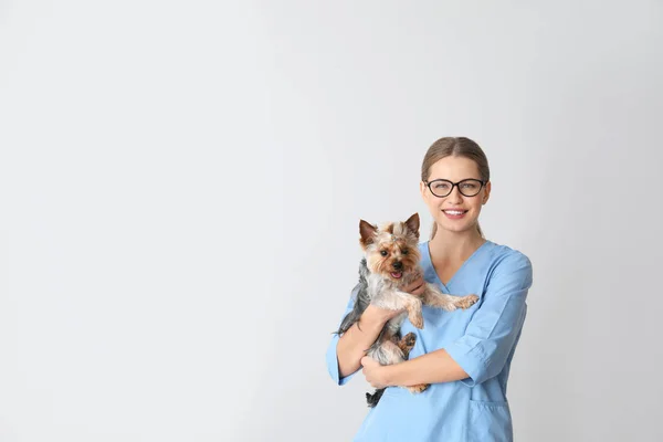 Veterinarian with cute dog on light background — Stock Photo, Image