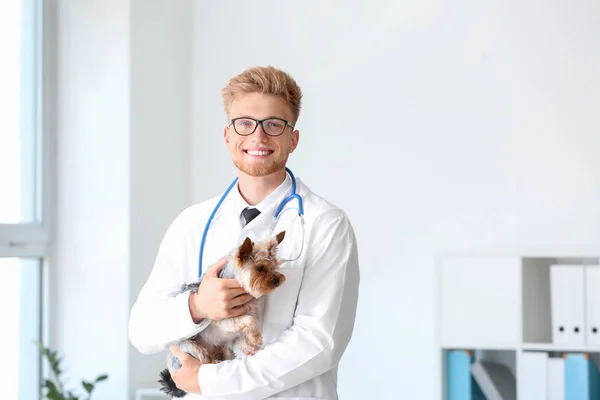 Veterinario con lindo perro en la clínica — Foto de Stock