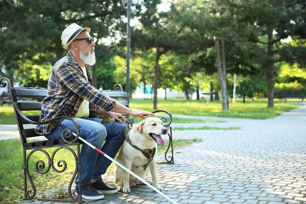 Ciego maduro hombre con guía perro sentado en banco en parque — Foto de Stock