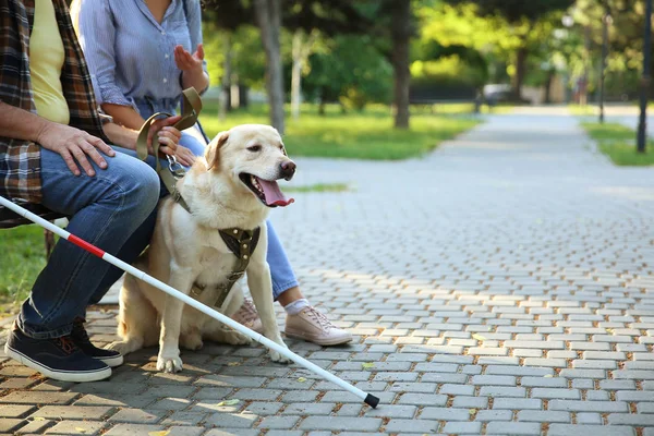 Τυφλός ώριμος άνθρωπος με την κόρη του και το σκυλί οδηγός στο πάρκο — Φωτογραφία Αρχείου