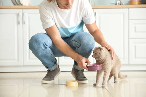 Man feeding cute funny cat in kitchen — Stock Photo, Image