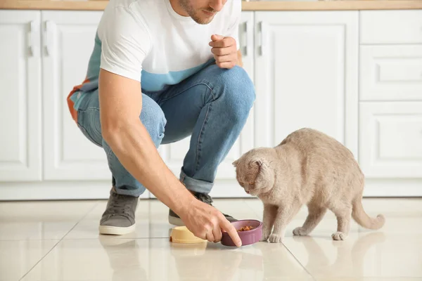 आदमी रसोई में प्यारा मजेदार बिल्ली खिला रहा है — स्टॉक फ़ोटो, इमेज