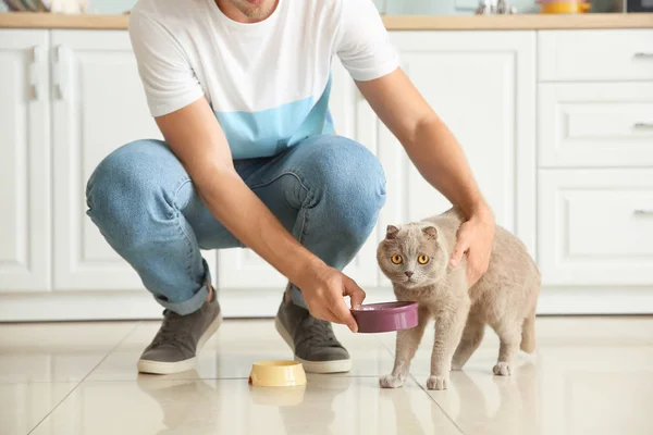 Man feeding cute funny cat in kitchen — Stock Photo, Image