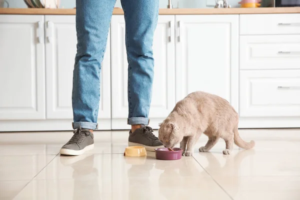 Adam mutfakta sevimli komik kedi besleme — Stok fotoğraf