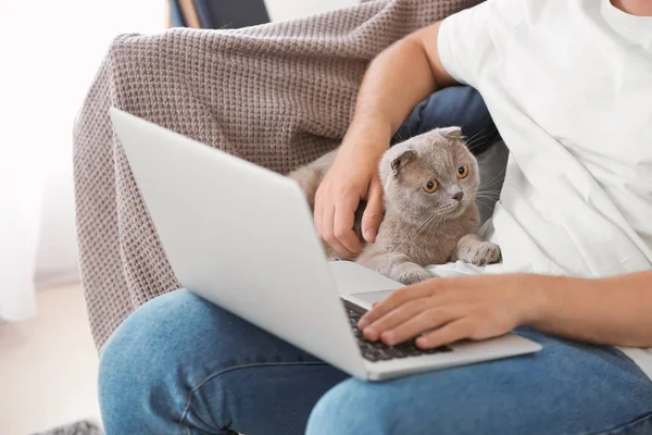 Человек с ноутбуком и милый забавный кот дома — стоковое фото