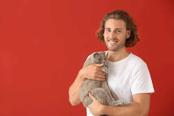 색상 배경에 귀여운 재미있는 고양이와 남자 — 스톡 사진