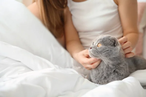 Cute cat with owner in bed at home — Stock Photo, Image