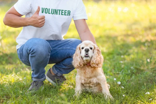 Male volunteer with cute dog outdoors — Stock Photo, Image