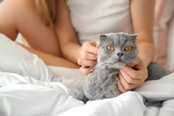 Cute cat with owner in bed at home — Stock Photo, Image