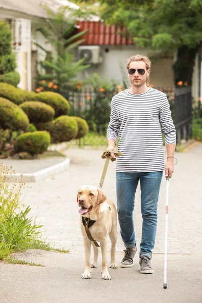 Τυφλός νέος άντρας με σκύλος οδηγός σε εξωτερικούς χώρους — Φωτογραφία Αρχείου
