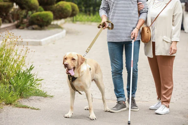 Blind young man with guide dog and mother outdoors