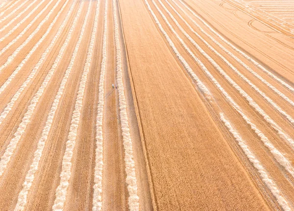 View on wheat field from quadrocopter — Stock Photo, Image