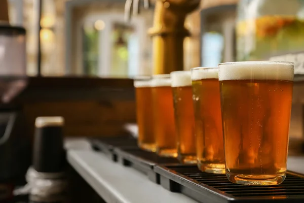 Glasses of fresh draft beer on bar counter — Stock Photo, Image