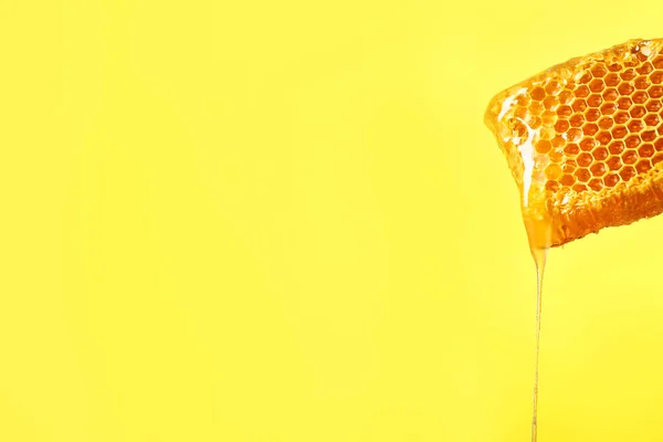 Honingraat op kleur achtergrond — Stockfoto