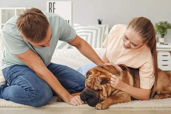Happy couple with cute dog at home — Stock Photo, Image