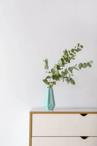 Byrå med eukalyptus grenar i vas nära ljus vägg — Stockfoto