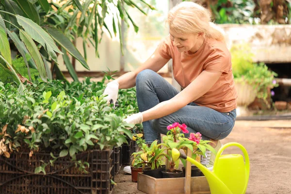 Serada çalışan kadın bahçıvan Portresi