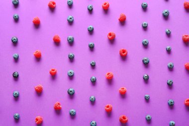 Renk arka planda birçok tatlı olgun meyveleri