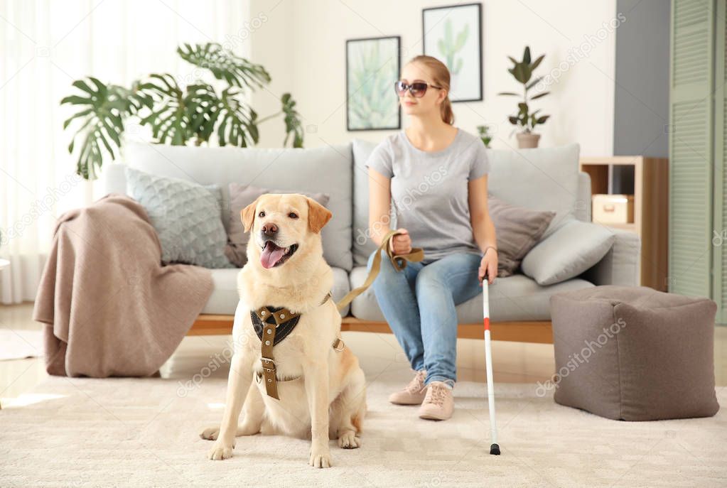 Young blind woman with guide dog at home