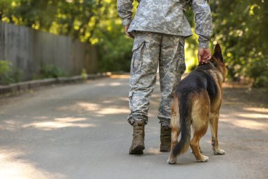 Askeri çalışan köpek açık havada asker, arka görüş