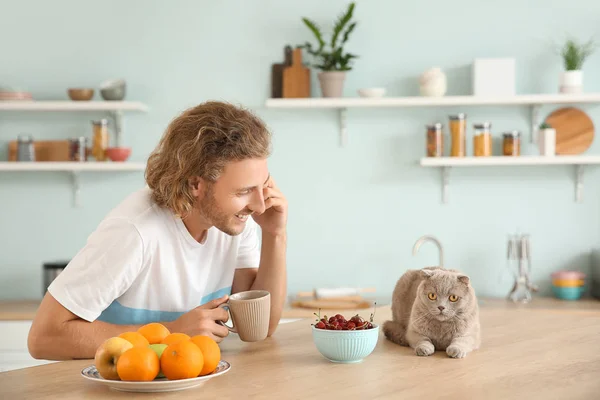 En mann som snakker i telefonen mens han sitter ved kjøkkenbordet med en søt, morsom katt – stockfoto