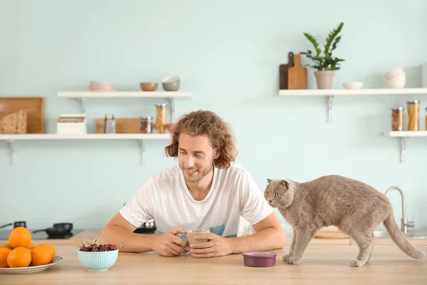 Mann mit süßer lustiger Katze in Küche — Stockfoto