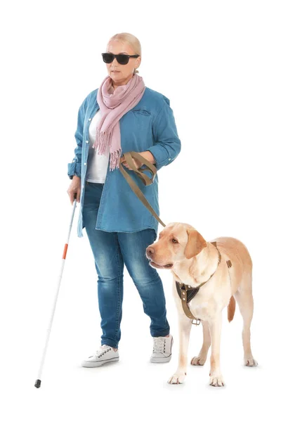 Τυφλή ώριμη γυναίκα με το σκυλί οδηγός σε λευκό φόντο — Φωτογραφία Αρχείου