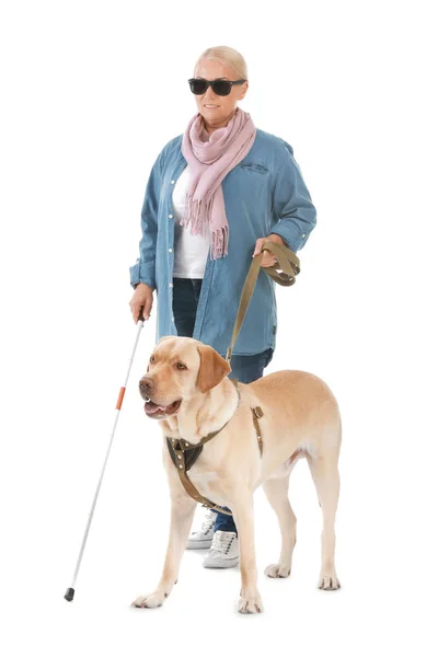 Blind mature woman with guide dog on white background — Stock Photo, Image
