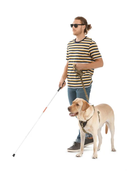 Blinder junger Mann mit Blindenhund auf weißem Hintergrund — Stockfoto