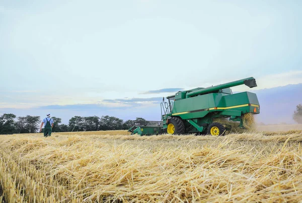 Yaz gününde buğday hasadı