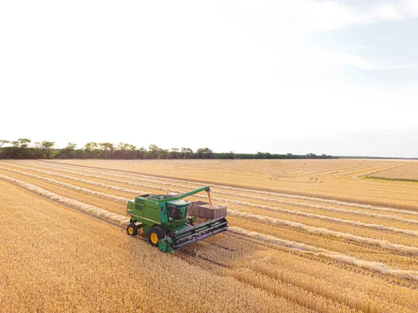 Combinar cosechadora en campo de trigo — Foto de Stock