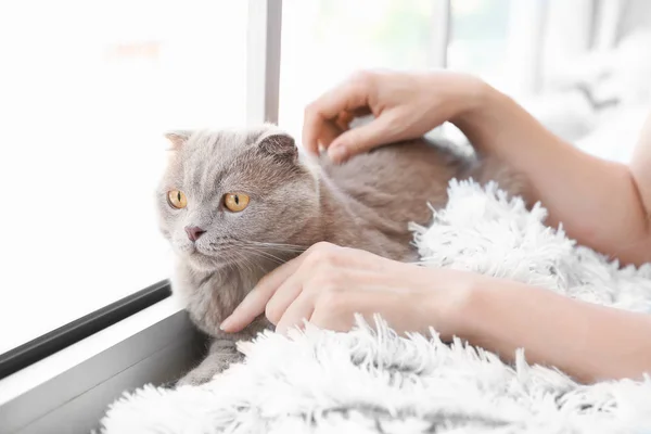 Woman stroking cat near window at home — Stock Photo, Image