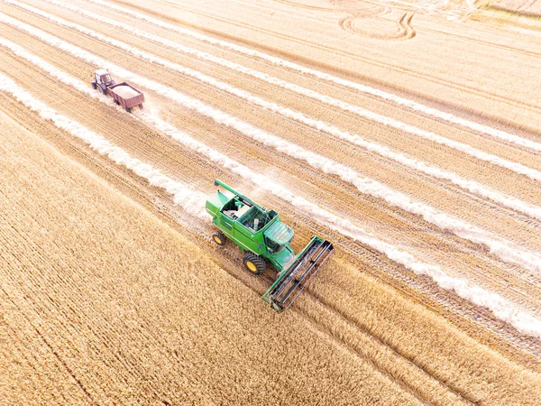 Combine harvester in wheat field — Stock Photo, Image