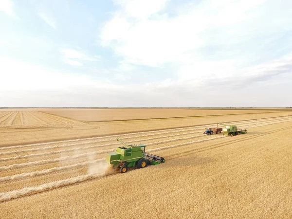 Cosechadoras combinadas en campo de trigo — Foto de Stock