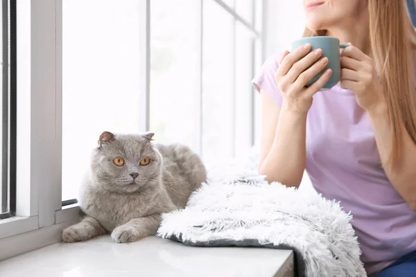 Niedliche Katze mit Besitzer in der Nähe von Fenster zu Hause — Stockfoto