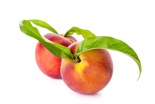 Ripe peaches on white background — Stock Photo, Image