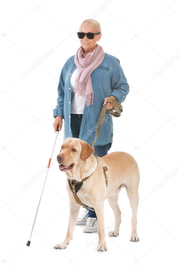 Blind mature woman with guide dog on white background