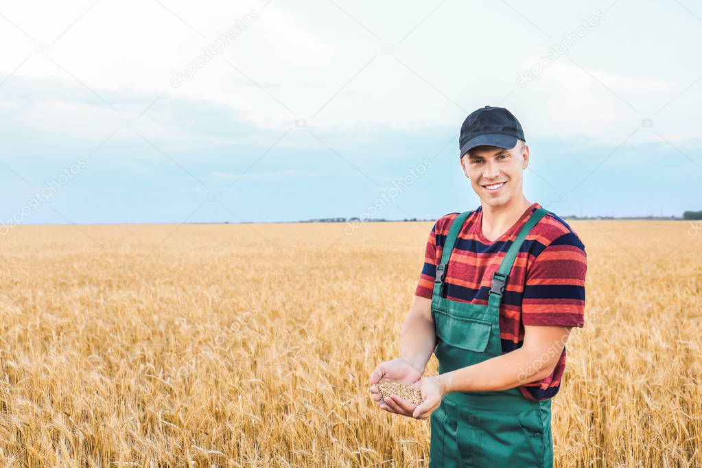 Male farmer with heap of wheat grains in field