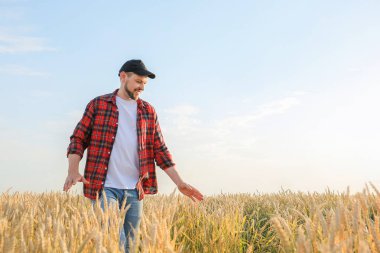 Güneşli günde tarlada çiftçi